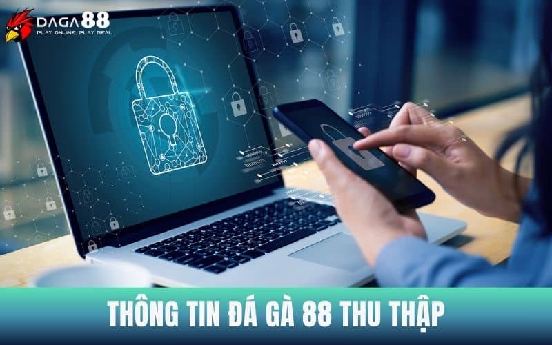 Thông tin mà Đá Gà 88 thu thập được sự đồng ý từ người chơi Thông tin mà Đá Gà 88 thu thập được sự đồng ý từ người chơi