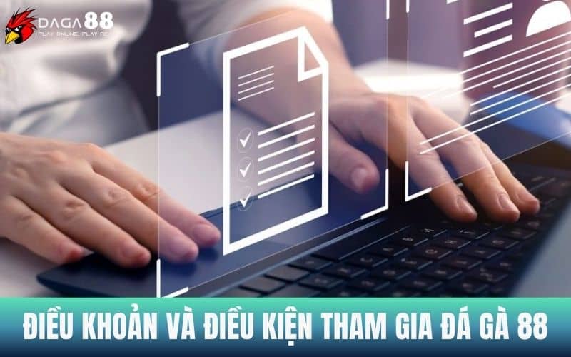Điều khoản và điều kiện để tham gia vào Đá Gà 88