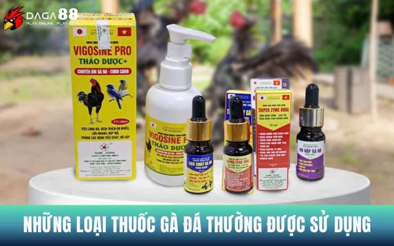 Những loại thuốc gà đá được nhiều sư kê sử dụng Những loại thuốc gà đá được nhiều sư kê sử dụng