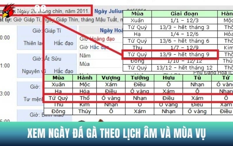 Xem ngày đá gà theo lịch âm và mùa vụ