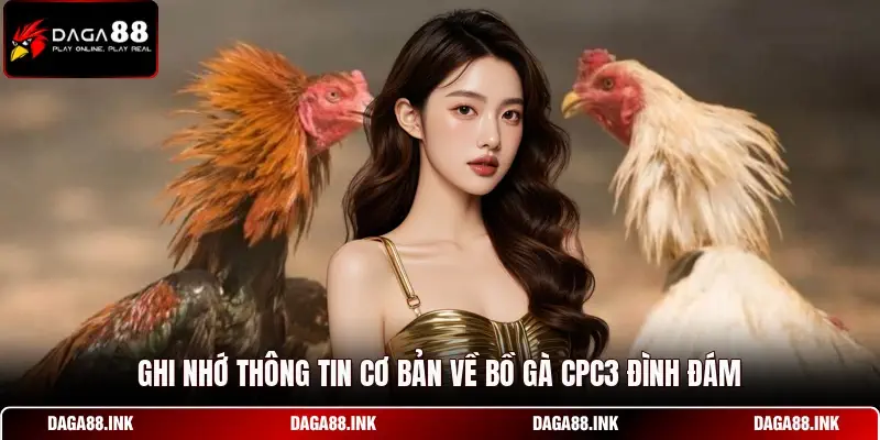Ghi nhớ thông tin cơ bản về bồ gà CPC3 đình đám