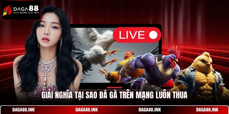 Giải nghĩa tại sao đá gà trên mạng luôn thua Giải nghĩa tại sao đá gà trên mạng luôn thua
