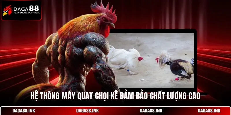 Hệ thống máy quay chọi kê đảm bảo chất lượng cao Hệ thống máy quay chọi kê đảm bảo chất lượng cao