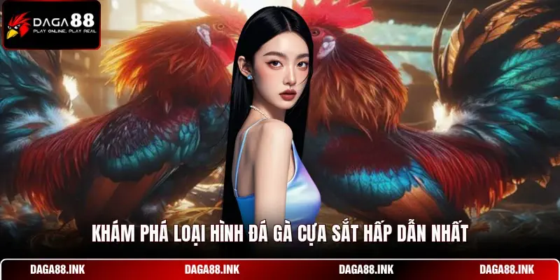 Khám phá loại hình đá gà cựa sắt hấp dẫn nhất Khám phá loại hình đá gà cựa sắt hấp dẫn nhất