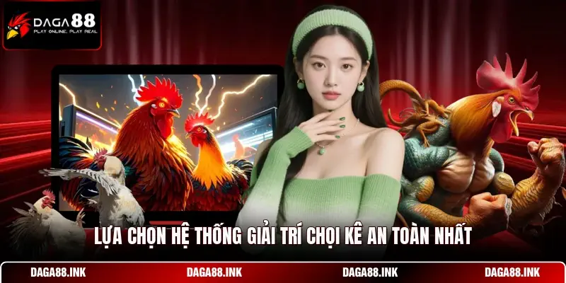 Lựa chọn hệ thống giải trí chọi kê an toàn nhất Lựa chọn hệ thống giải trí chọi kê an toàn nhất