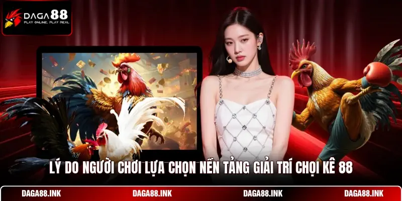 Lý do người chơi lựa chọn nền tảng giải trí chọi kê 88 Lý do người chơi lựa chọn nền tảng giải trí chọi kê 88