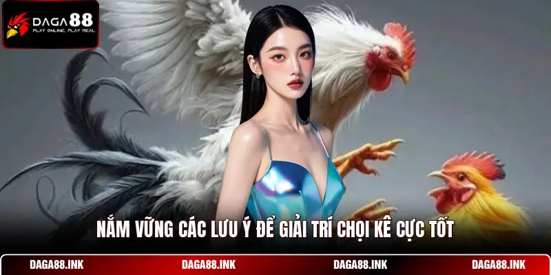 Nắm vững các lưu ý để giải trí chọi kê cực tốt Nắm vững các lưu ý để giải trí chọi kê cực tốt