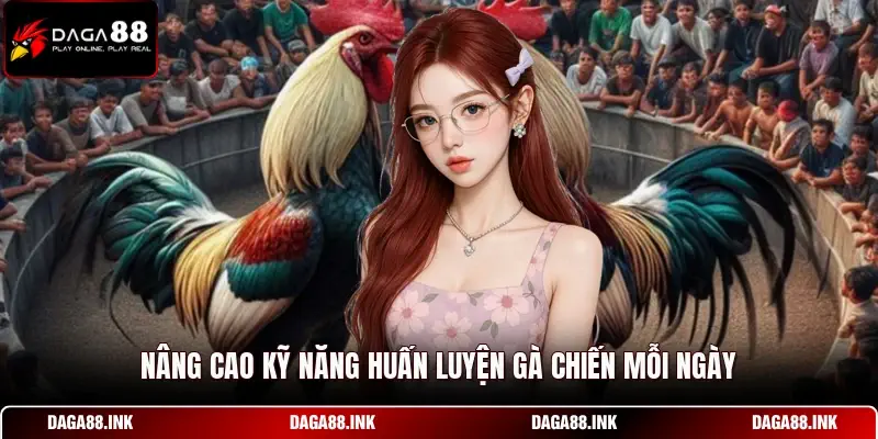 Nâng cao kỹ năng huấn luyện gà chiến mỗi ngày