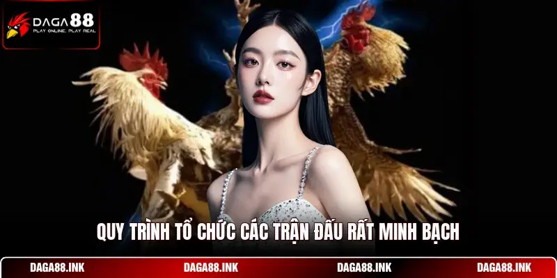 Quy trình tổ chức các trận đấu rất minh bạch Quy trình tổ chức các trận đấu rất minh bạch