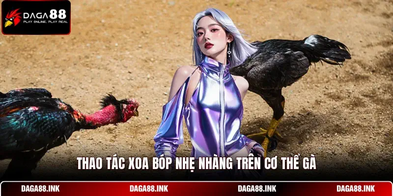 Thao tác xoa bóp nhẹ nhàng trên cơ thể gà