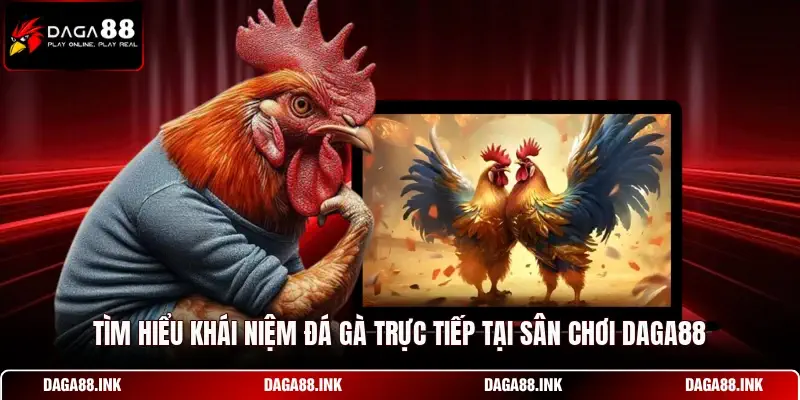 Tìm hiểu khái niệm đá gà trực tiếp tại sân chơi DAGA88 Tìm hiểu khái niệm đá gà trực tiếp tại sân chơi DAGA88
