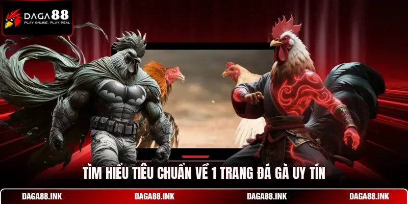 Tìm hiểu tiêu chuẩn về 1 trang đá gà uy tín Tìm hiểu tiêu chuẩn về 1 trang đá gà uy tín